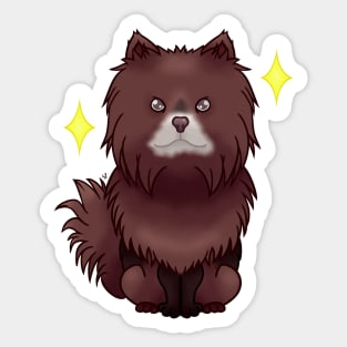 Chocolate pomeranian Sticker